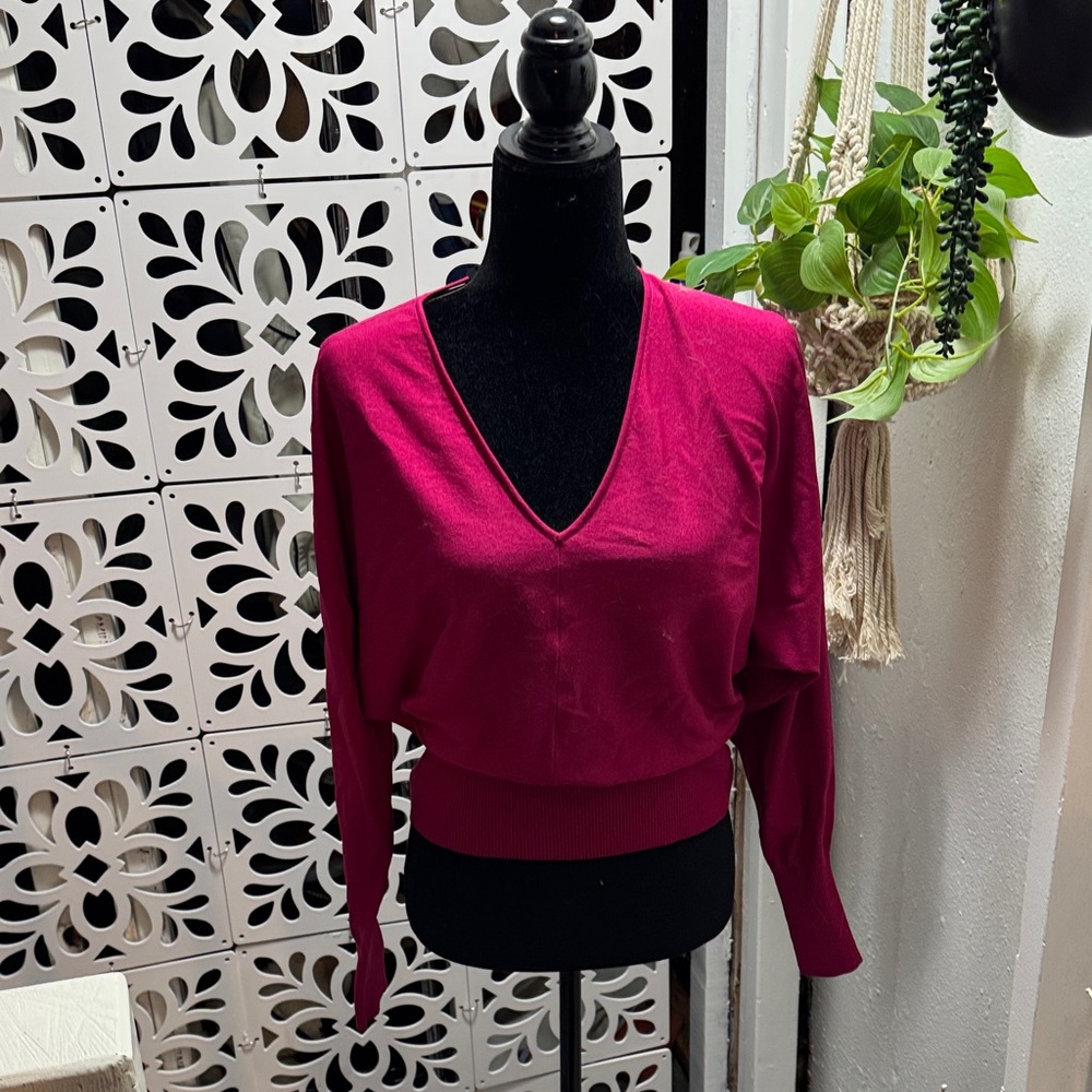 Express Deep Pink V-Neck Sweater